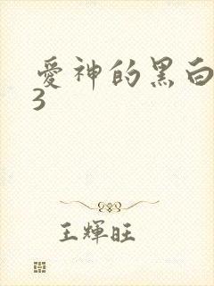 爱神的黑白羽翼3