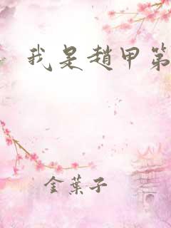 我是赵甲第小说