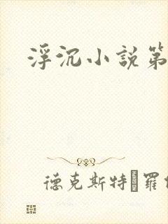 浮沉小说第二部