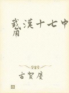 武汉十七中女主角