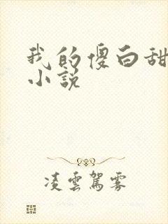 我的傻白甜老婆小说