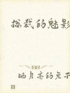 总裁的魅影情人