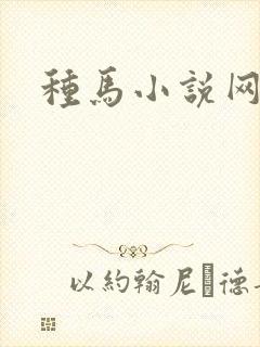 种马小说网