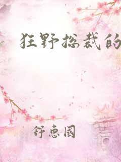 狂野总裁的女人