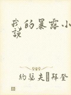 我的暴露小说小说