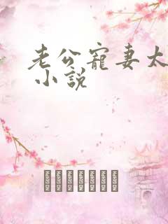 老公宠妻太甜蜜 小说