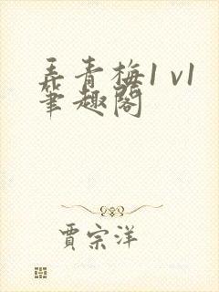 弄青梅1 v1笔趣阁