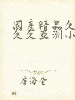 国产精品久久久久久亚洲小说