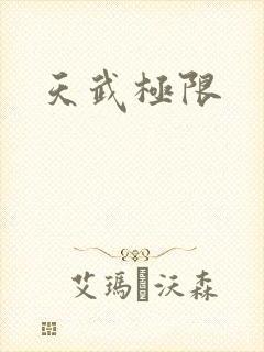 天武极限