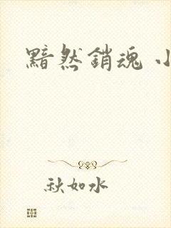 黯然销魂 小说