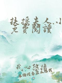 扶摇夫人.小说免费阅读