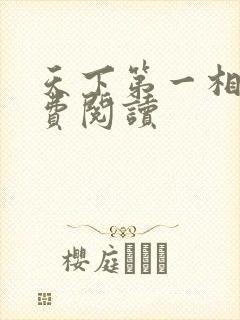 天下第一相书免费阅读