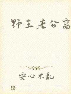 野王老公窝