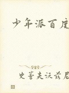 少年派百度百科