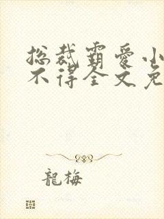 总裁霸爱小妻惹不得全文免费阅读