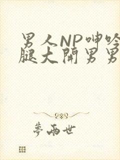 男人NP呻吟双腿大开男男小说