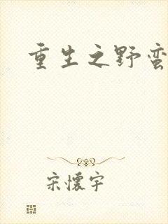 重生之野蛮盗贼