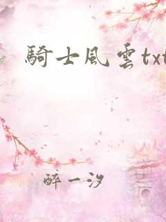 骑士风云txt