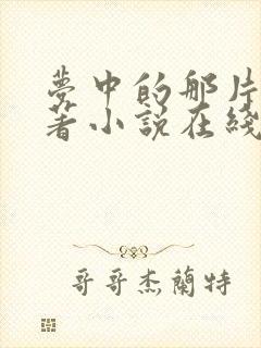 梦中的那片海原著小说在线阅读