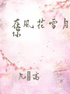 在风花雪月里等你