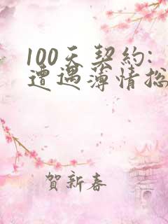 100天契约:遭遇薄情总裁