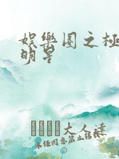 娱乐圈之极品大明星