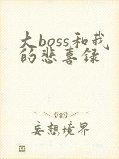 大boss和我的悲喜录
