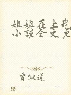 姐姐在上我在下小说全文免费阅读