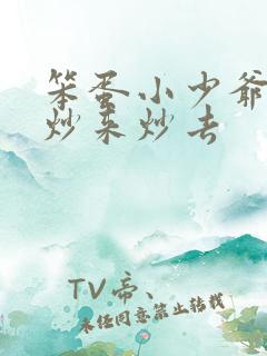 笨蛋小少爷又被炒来炒去