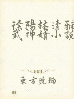 徐阳林清雅绝世武神婿小说