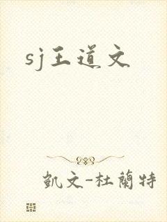 sj王道文