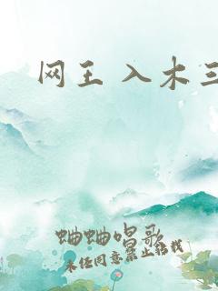 网王 入木三分