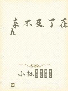 来不及了在车ch