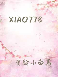XIAO778