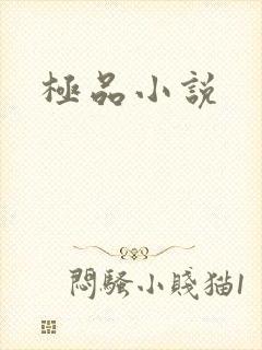 极品小说