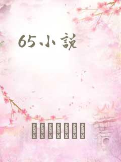 65小说