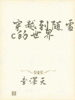 穿越到随处可以c的世界