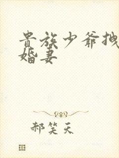 贵族少爷拽拽未婚妻