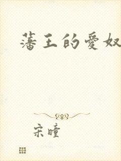 藩王的爱奴