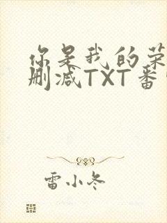 你是我的荣耀未删减TXT番外