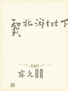 知北游txt下载