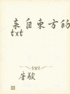 来自东方的骑士txt