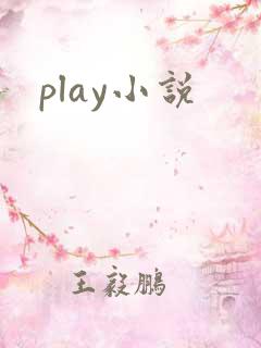 play小说