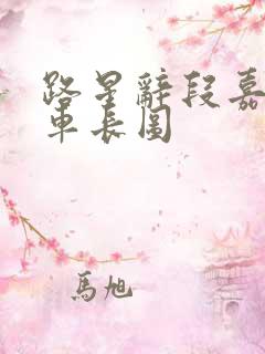 路星辞段嘉衍肉车长图