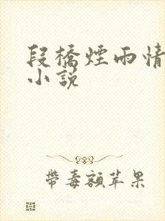 段桥烟雨情难离小说