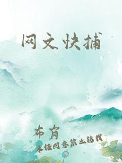 网文快捕