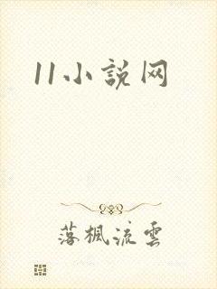 11小说网