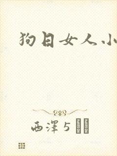 狗日女人小说