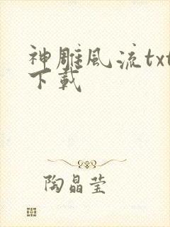 神雕风流txt下载