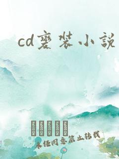 cd变装小说